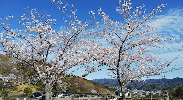 松山総合公園 坊っちゃん夢ランド