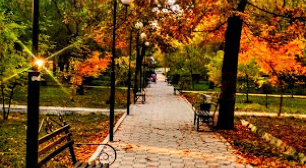 Alley of the journalists