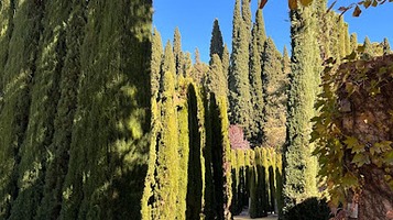 轩尼洛里菲花园