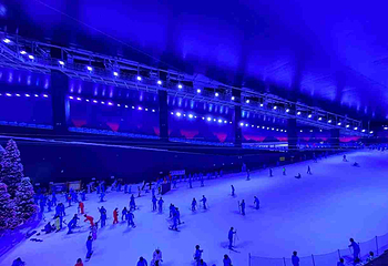 阿尔卑斯雪世界第 341 张图片