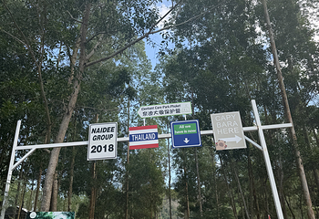 普吉岛奈迪大象保护营第 95 张图片
