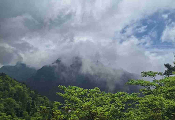 武陵山大裂谷第 52 张图片