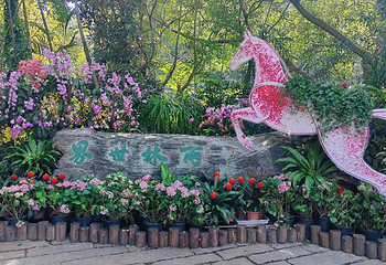 厦门园林植物园第 97 张图片