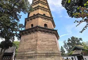 晋祠博物馆第 193 张图片