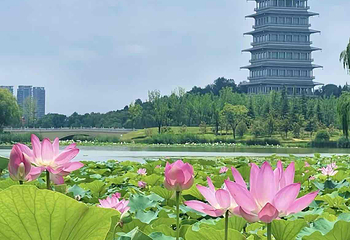 西安世博园第 57 张图片