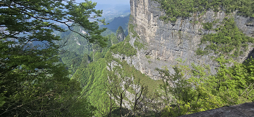 天门山国家森林公园第 232 张图片