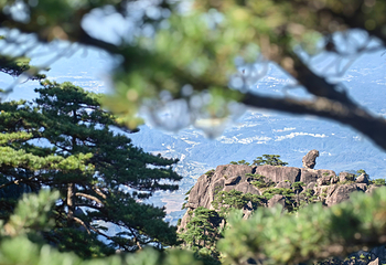 黄山风景区第 26 张图片