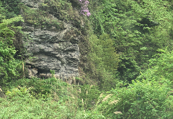 黑竹沟风景名胜区第 28 张图片