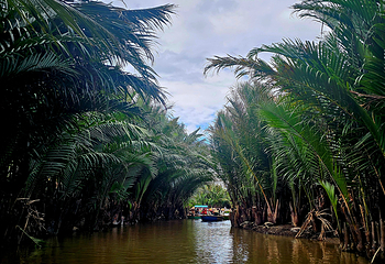 Hạnh Coconut 会安水椰林游船第 10 张图片