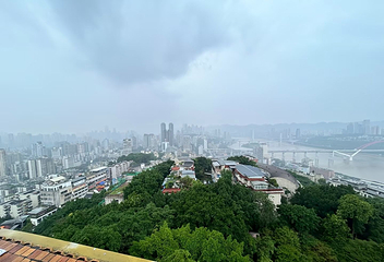 鹅岭公园第 123 张图片