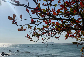 天涯海角第 291 张图片