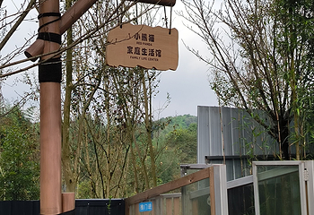 小熊猫森林公园第 18 张图片