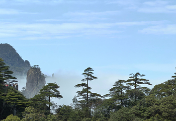 三清山风景区第 208 张图片