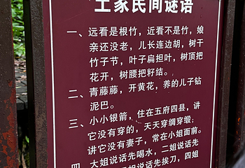 张家界大峡谷第 141 张图片