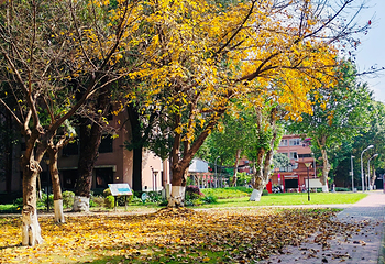 四川大学(望江校区)第 44 张图片
