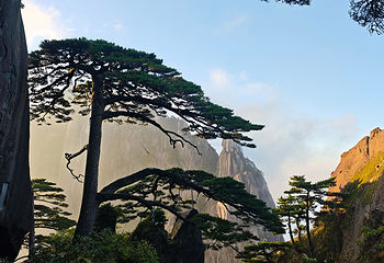黄山风景区第 58 张图片