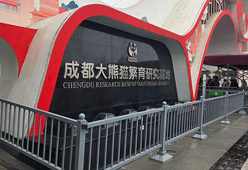 成都大熊猫繁育研究基地第 220 张图片