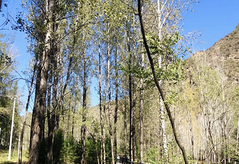 百里山水画廊第 119 张图片