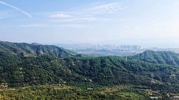 铁炉嶂森林公园