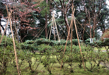 石川县立美术馆第 11 张图片
