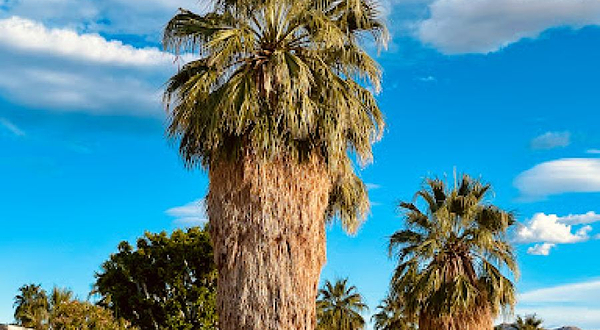 Walk of the Stars Palm Springs