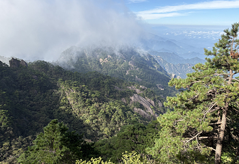 黄山风景区第 138 张图片