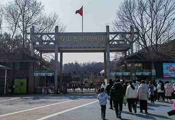 红山森林动物园第 313 张图片