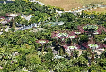 新加坡滨海湾花园第 289 张图片