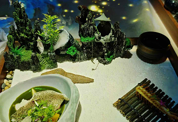 TASTE OF CHINA 中国味 沉浸式餐厅第 101 张图片