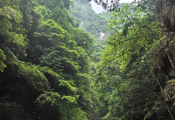 中坝大峡谷第 8 张图片