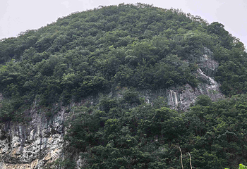 荔波小七孔景区第 247 张图片