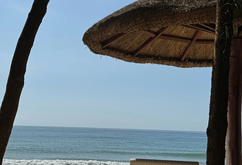 海棠湾第 123 张图片