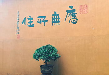 九华山风景区第 45 张图片