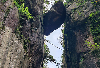 莽山五指峰景区第 117 张图片