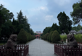 浣花溪公园第 86 张图片