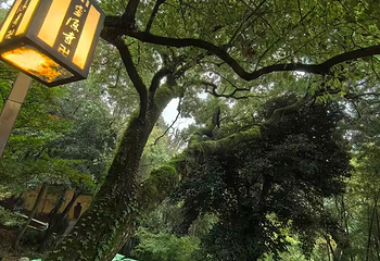 灵隐寺第 183 张图片