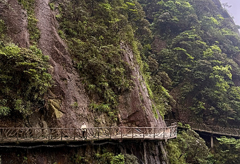 三清山风景区第 237 张图片
