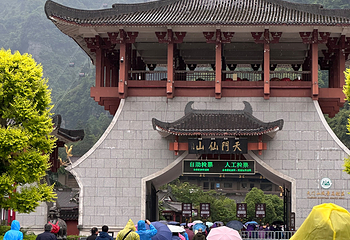 张家界国家森林公园第 245 张图片
