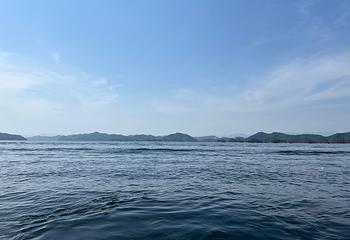 千岛湖景区第 202 张图片