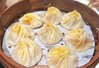 莱莱小笼·乔艾第 147 张图片