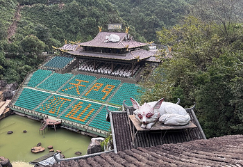 天门山国家森林公园第 495 张图片