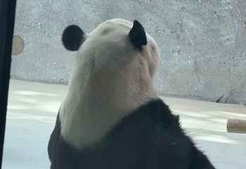 北京动物园第 146 张图片