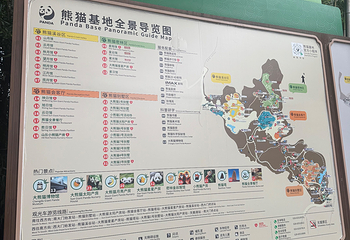 熊猫谷第 181 张图片