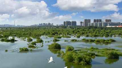 沂沭河国家湿地公园第 1 张图片