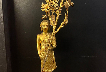 佩萨罗宫第 14 张图片