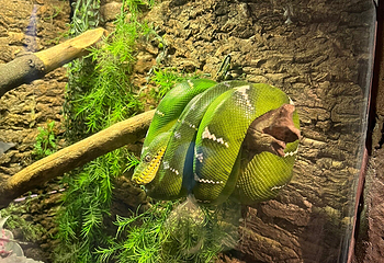 丹佛市区水族馆第 14 张图片