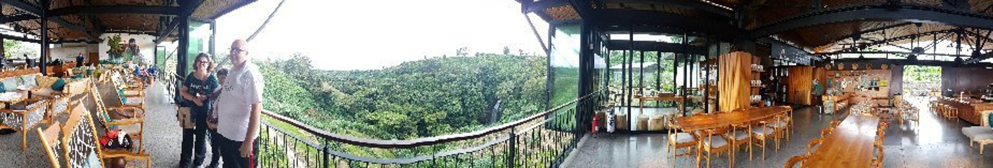 Hacienda Alsacia Starbucks Coffee Farm第 5 张图片