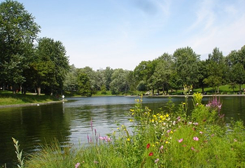 皇家山高地区第 16 张图片