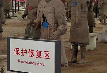 秦始皇帝陵博物院(兵马俑)第 393 张图片