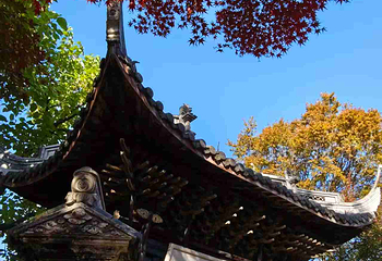 惠山古镇·寄畅园第 150 张图片